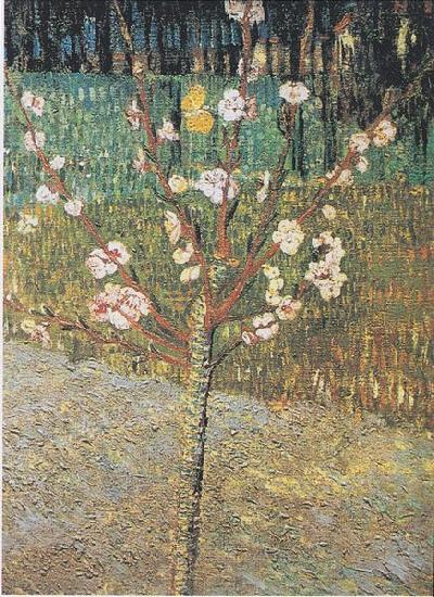 Vincent Van Gogh Flowering almond tree Sweden oil painting art